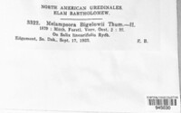 Melampsora bigelowii image